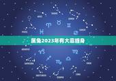 属兔2023年有大喜缠身，属兔2023年有大喜缠身 生肖