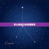 怎么看自己的命理属性，怎么看自己电脑属性