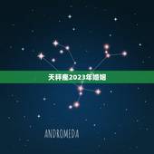 天秤座2023年婚姻，2023年过得最开心的星座女