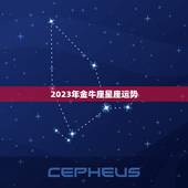 2023年金牛座星座运势，金牛座运势2023年运势详解