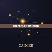 羊年2023添丁最好的属相，十二生肖的排行顺序属羊的年份