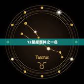 12星座各种之一名，12星座爱情配对