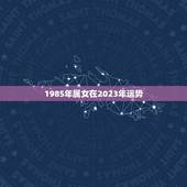 1985年属女在2023年运势，属龙2023年的运势及运程