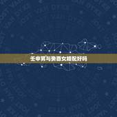 壬申男与癸酉女婚配好吗，癸酉年生男与壬申年生女婚配