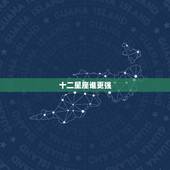 十二星座谁更强，十二星座谁的占有欲强