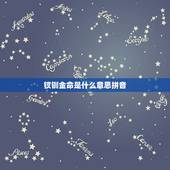 钗钏金命是什么意思拼音，钗钏金命是什么意思，这个命好不好