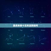 属虎未来十五年运势如何