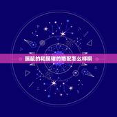 属鼠的和属猪的婚配怎么样啊，属鼠的和属猪的婚配如何