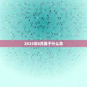 2023年8月属于什么命