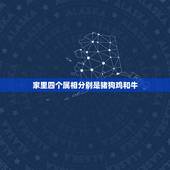 家里四个属相分别是猪狗鸡和牛，生肖猪狗鸡牛一家人好不好