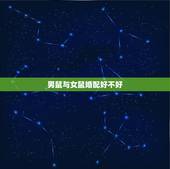 男鼠与女鼠婚配好不好，属鼠男与属羊女相配婚姻好不好？