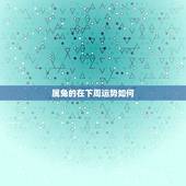 属兔的在下周运势如何，6月属兔运势如何