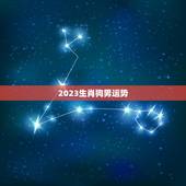 2023生肖狗男运势，2023年摩羯座运势详解
