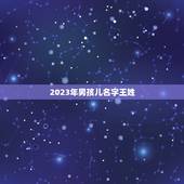 2023年男孩儿名字王姓(讨论王姓作为名字的含义和流行趋势)