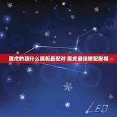 属虎的跟什么属相最配对 属虎最佳婚配属相