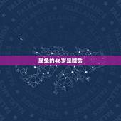 属兔的46岁是啥命