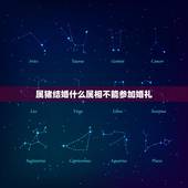 属猪结婚什么属相不能参加婚礼，属猪的和属猪的人结婚忌讳什么属相的当伴娘