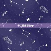 十二星座百合cp，十二星座攻受cp文