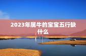 2023年属牛的宝宝五行缺什么