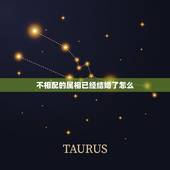 不相配的属相已经结婚了怎么，结婚防属相怎么