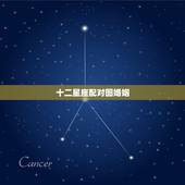 十二星座配对图婚姻，十二星座匹配星座配对