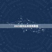 2025是什么年生肖属相，2023年是什么生肖年