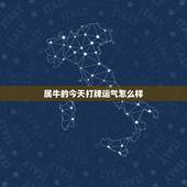 属牛的今天打牌运气怎么样，八字测算免费