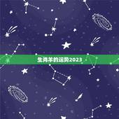 生肖羊的运势2023
