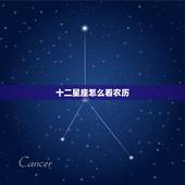 十二星座怎么看农历，星座看阳历还历生日