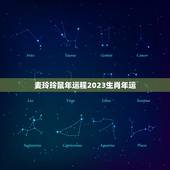 麦玲玲鼠年运程2023生肖年运，麦玲玲属鸡人2023年运势运程？