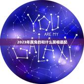 2023年属兔的和什么属相最配，2023年属兔人的运程