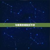 与猪男的婚配好不好，+猪男=婚配？