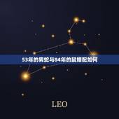 53年的男蛇与84年的鼠婚配如何，1984年属鼠的人和蛇配吗