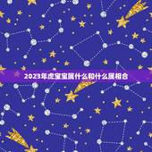 2023年虎宝宝属什么和什么属相合，属虎的人生什么属相的宝宝好
