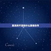 属龙的不宜和什么属相合作，属龙人和什么属相不合