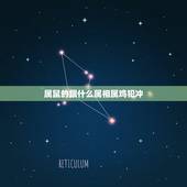 属鼠的跟什么属相属鸡犯冲，属鼠和属鸡的相冲吗