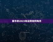 属牛的2023年运势如何每月，73年属牛2023年运势及运程每月运程
