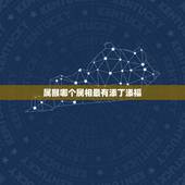 属猴哪个属相最有添丁添福，父母都属猴 孩子什么属相好呢