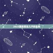 2023最容易生儿子的生肖，2023年不适合生孩子的生肖有哪些，什么属