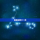 星座运势十一月，美国2023 年全年星座运势