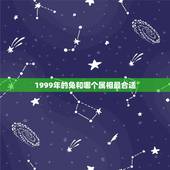 1999年的兔和哪个属相最合适，99年兔和什么生肖最配