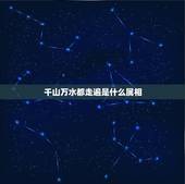 千山万水都走遍是什么属相，千山万水都走遍？猜生肖