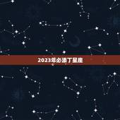 2023年必添丁星座