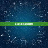 2023年怀孕清宫图，清宫图2023年生男生女表怎么算