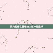 男鸡和什么属相的人在一起最好，男鸡配什么属相最好