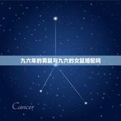九六年的男鼠与九六的女鼠婚配吗，1996年属鼠的女孩和同样是1996年