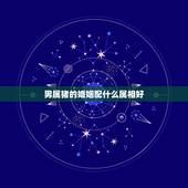 男属猪的婚姻配什么属相好，属猪人男可以与什么属相相配