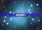 属牛的贵人，属牛的养什么花招贵人