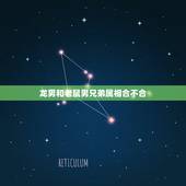 龙男和老鼠男兄弟属相合不合，属龙男和什么属相最配