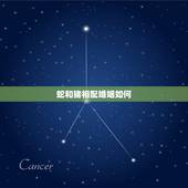 蛇和猪相配婚姻如何，猪与蛇相配对谁不利